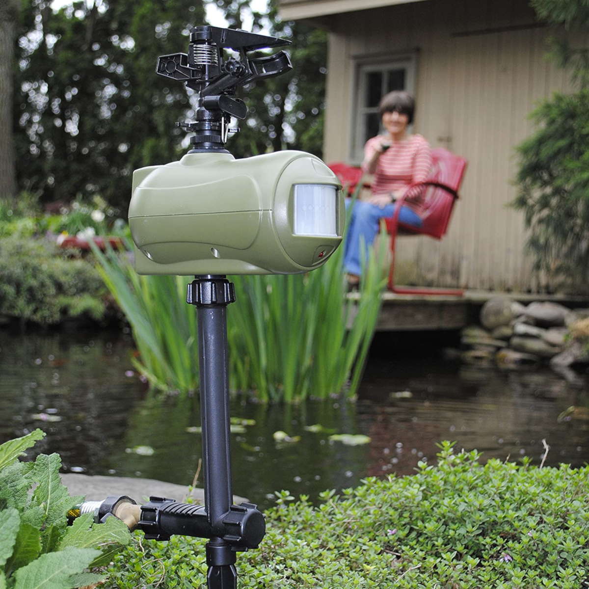 ממטרה להרחקת חתולים עם חיישן אינפרא אדום