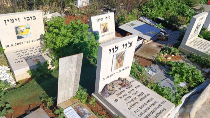 קברים של כלבים